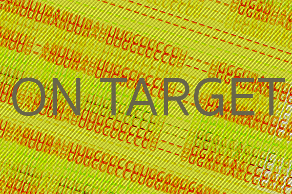 Image of "On Target" text
