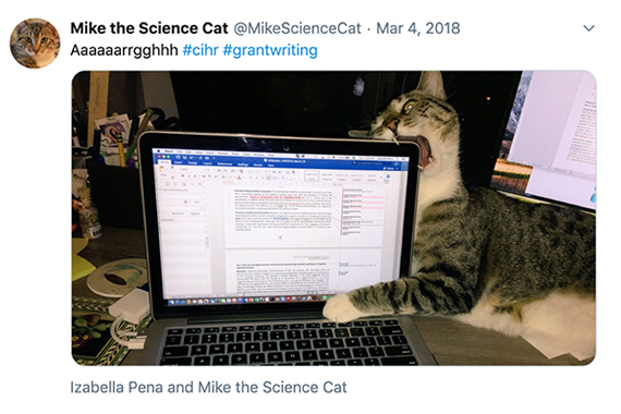 A Twitter post from Mike the Science Cat in which Mike is gnawing on a laptop that's displaying a grant application