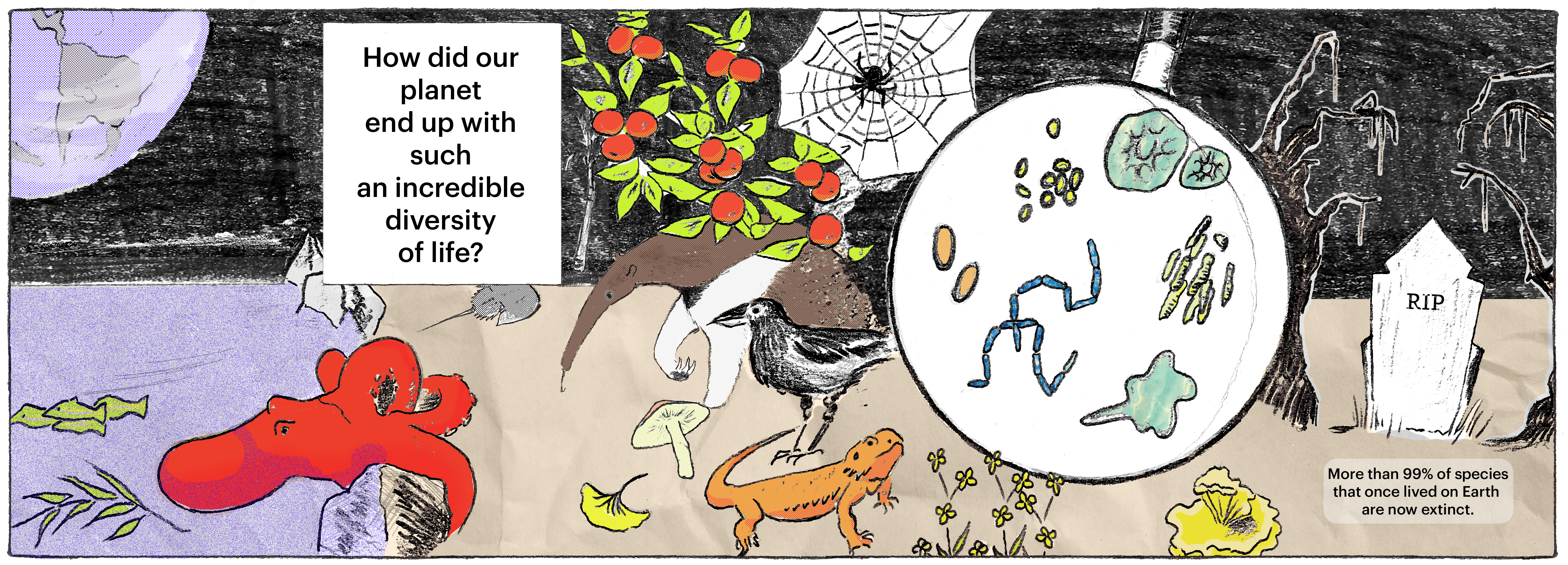 cartoon showcasing Earth's biodiversity. From left to right: fish, seaweed, octopus, horseshoe crab, ant eater, ginko leaf, mushroom, bird, bearded dragon, weeds, oranges, spider, magnifying glass held up to bacteria, gravestone