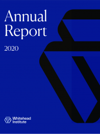Cover of annual report, dark blue featuring the WI logo in black. 