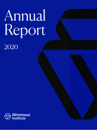 Cover of annual report, dark blue featuring the WI logo in black.
