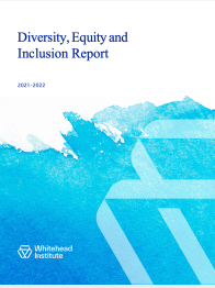 Cover of 2022 DEI Annual Report