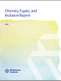 Watercolor style cover of the DEI Annual Report 2023