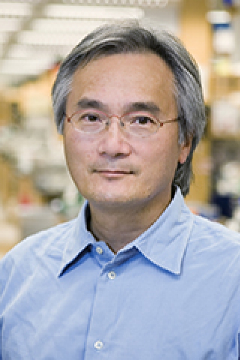 A man in a blue collared shirt stands in a lab.