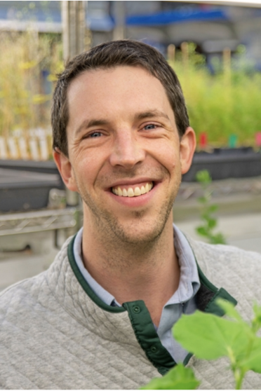 A man stands in a greenhouse