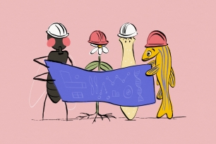 Four lab animals — a fly, a plant, a planarian and a zebra fish — wear hardhats and look at blueprints.