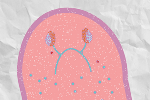 illustration of eye structure in planarian
