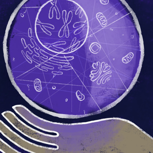 Illustration of a hand holding a larger than life cell, with organelles and chromosomes visible inside it