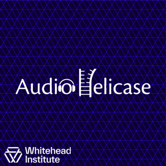 Audiohelicase logo
