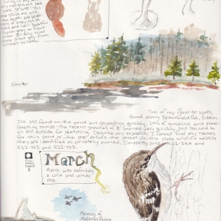 Nature journal page