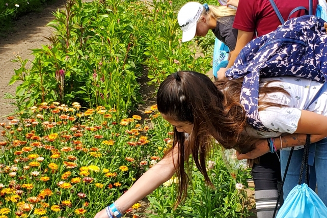 People examine rows of flowers.