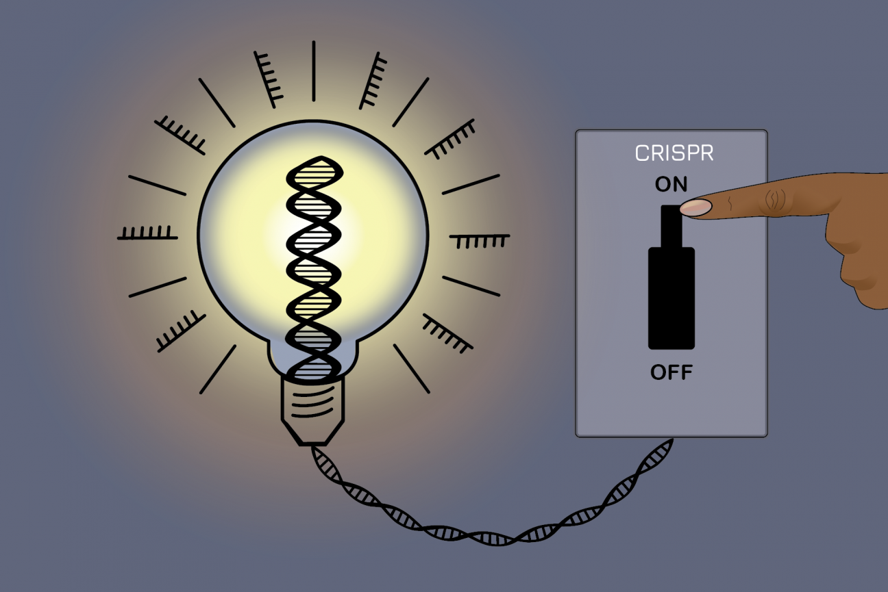 An On-off Switch For Gene Editing | Whitehead Institute