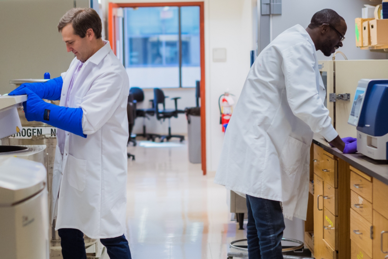 Two scientists in white coats work back to back on different equipment