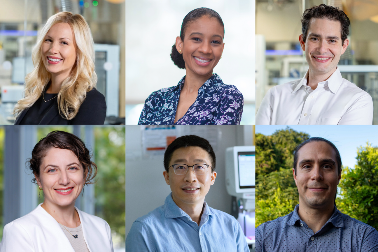 Headshots of the six researchers featured in the piece