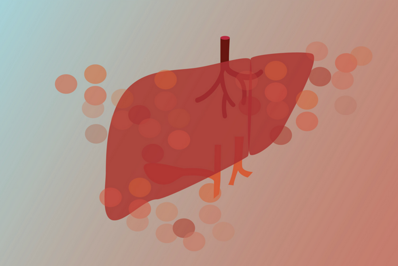 Illustration of a liver overlaying circles representing cells