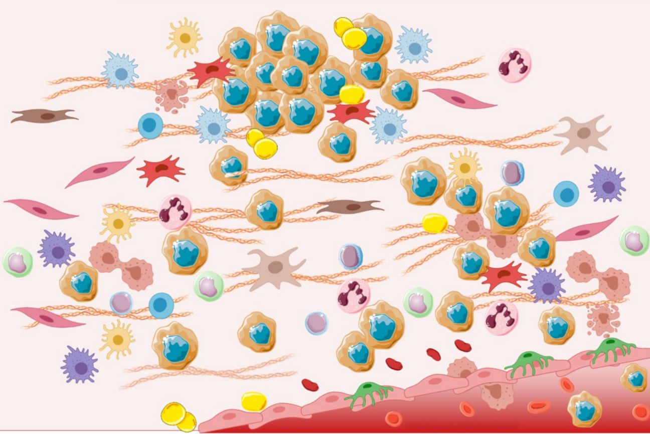 An illustration of many types of cells, cancer and other, all interacting with each other