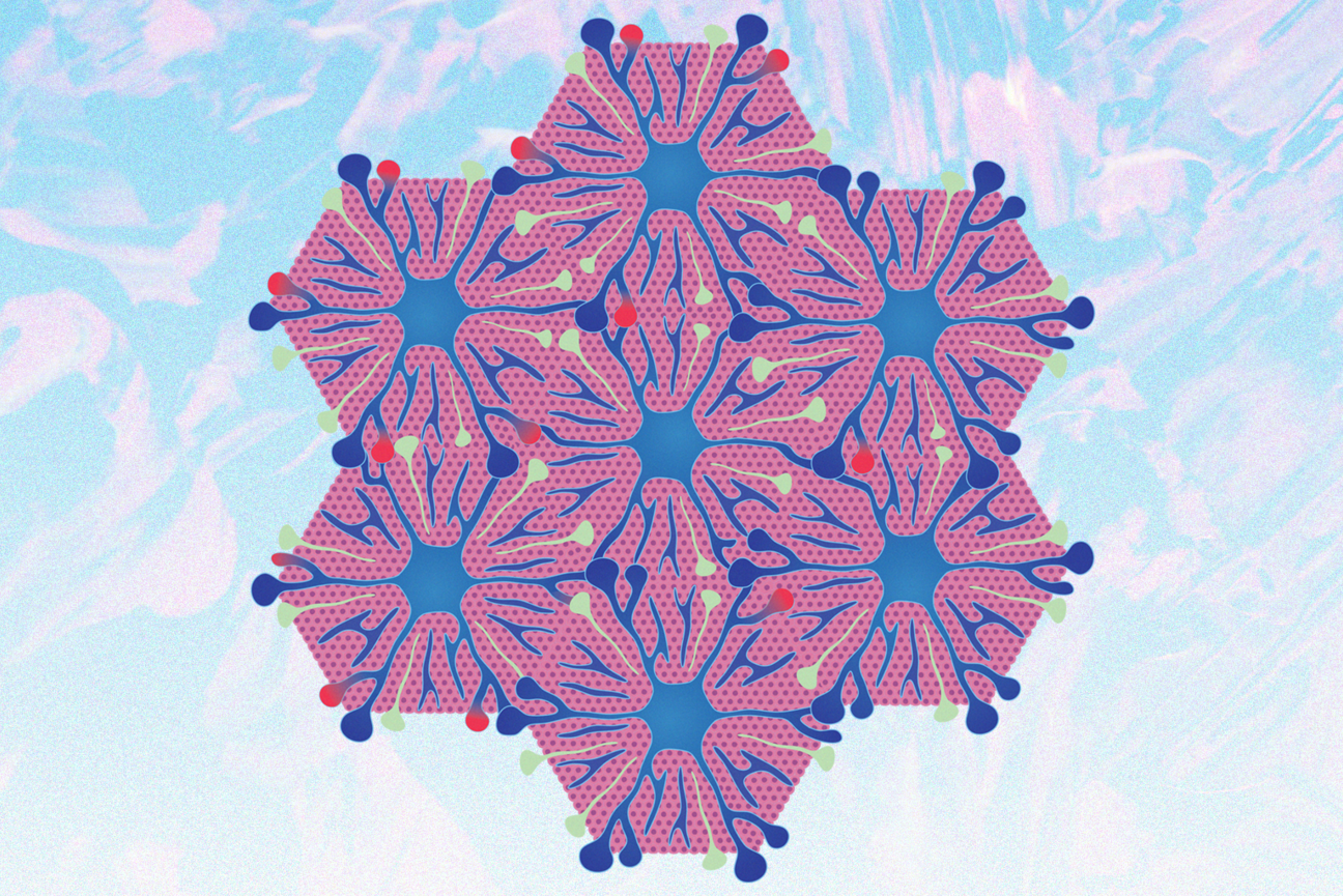 illustration