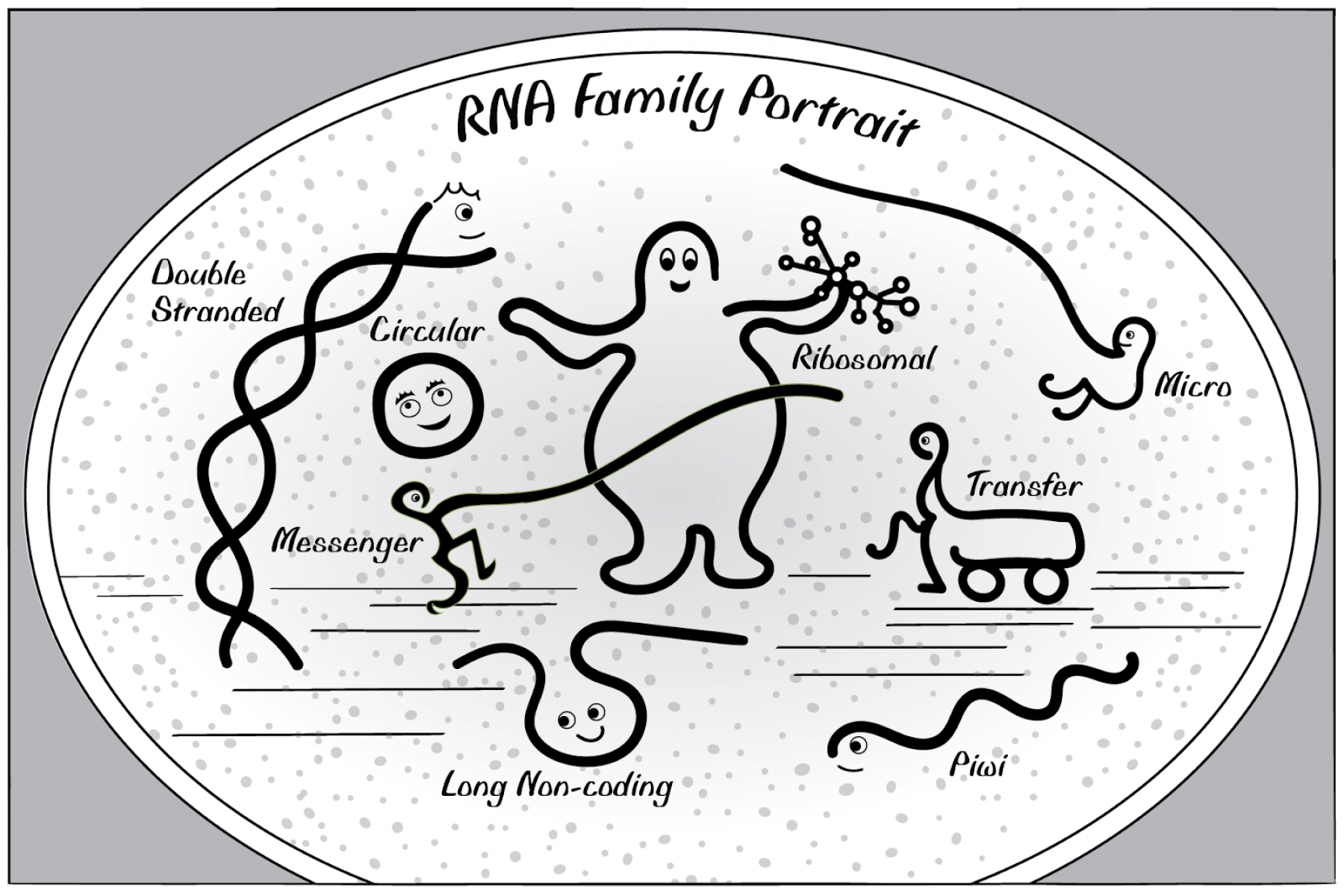 Intro to RNA Biology: Cartoon Edition | Whitehead Institute