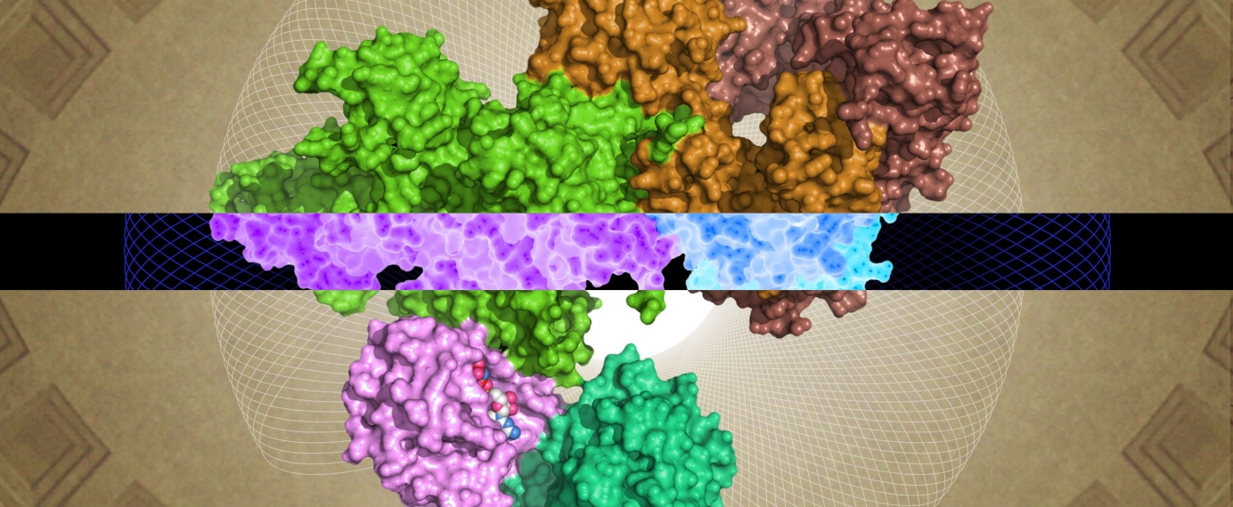 A protein composed of green, brown and pink on a brown background.