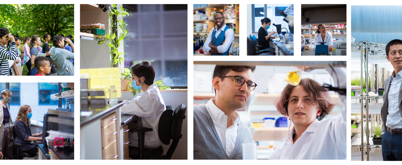 Collage of people who work at or visit Whitehead Institute