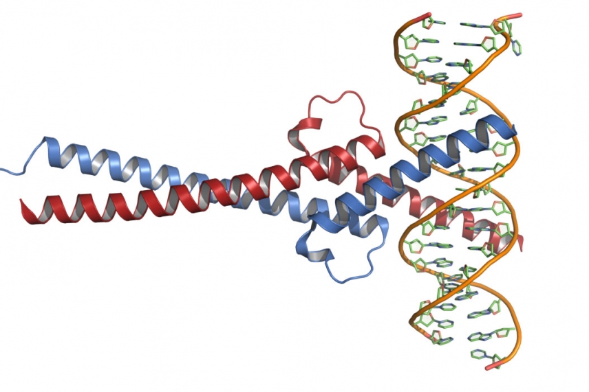 Aggressive cancer exploits MYC oncogene to amplify global gene activity ...