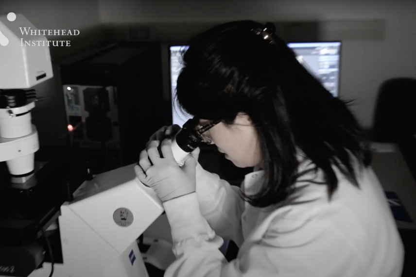 Pulin Li looks through a microscope