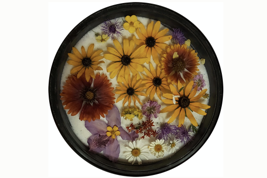 Resin plate
